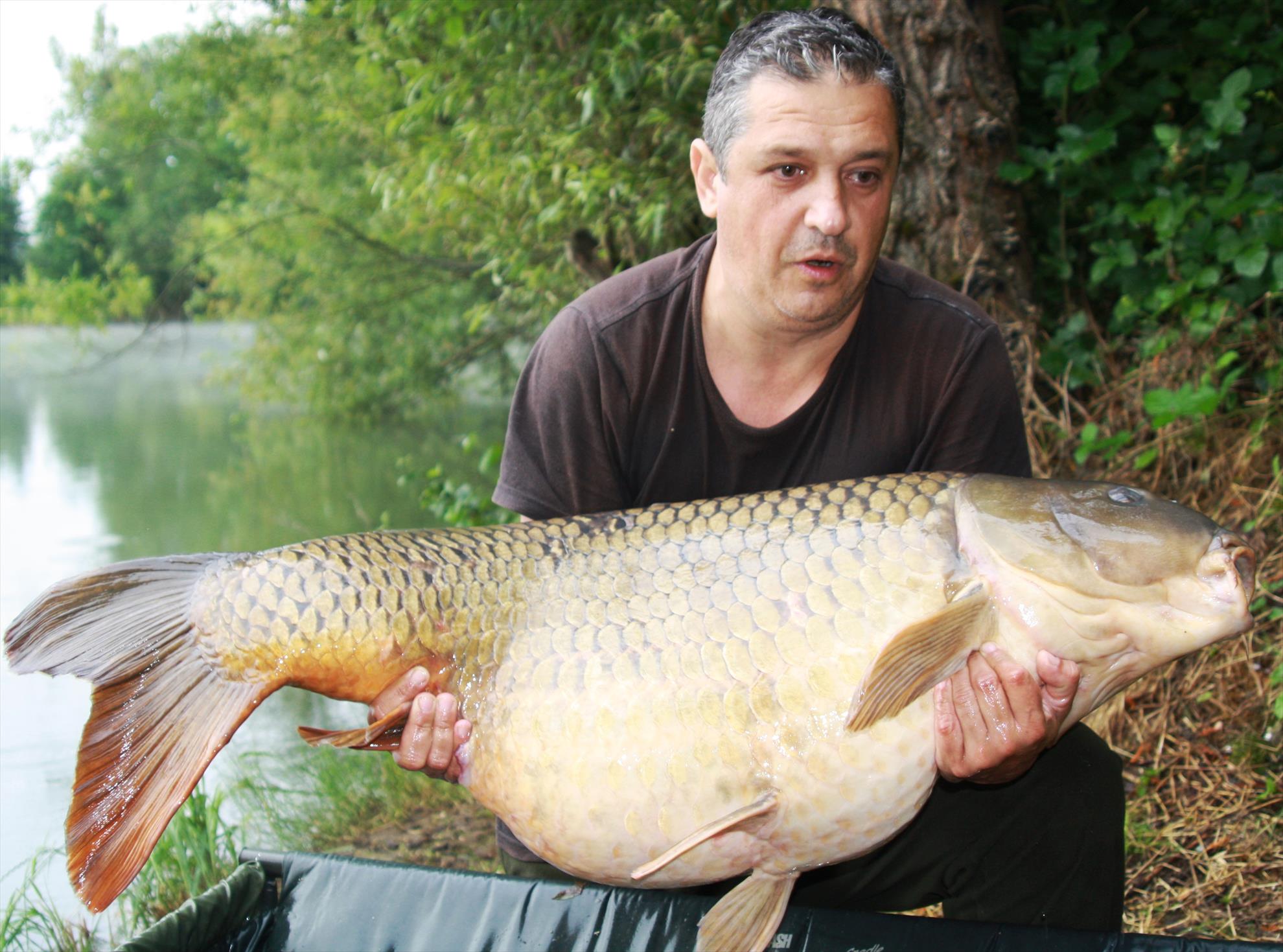 new personal best - 31 kg - img3.JPG